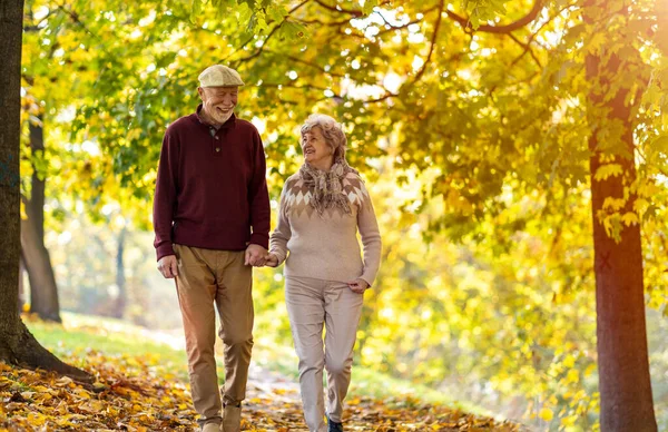 Glad Senior Par Tillbringa Tid Tillsammans Vacker Stadspark Hösten — Stockfoto