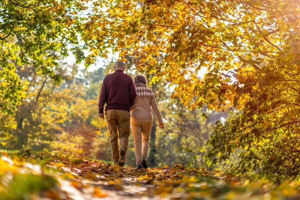 Glad Senior Par Tillbringa Tid Tillsammans Vacker Stadspark Hösten — Stockfoto
