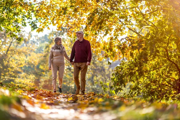 Boldog Idősek Együtt Töltik Időt Gyönyörű Városi Parkban Ősszel — Stock Fotó