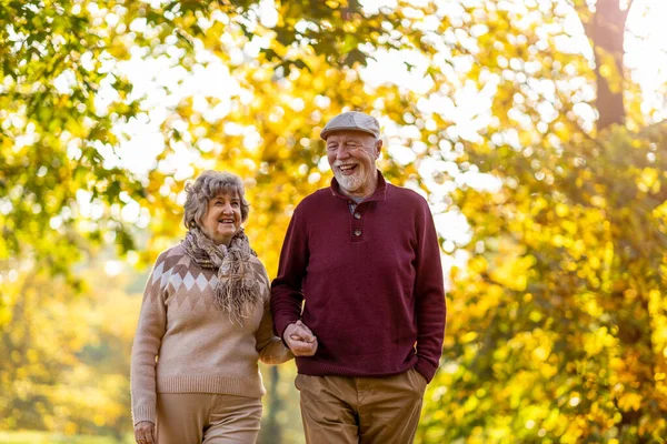 Счастливая Старшая Пара Проводит Время Вместе Красивом Городском Парке Осенью — стоковое фото