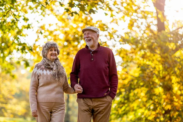 Счастливая Старшая Пара Проводит Время Вместе Красивом Городском Парке Осенью — стоковое фото