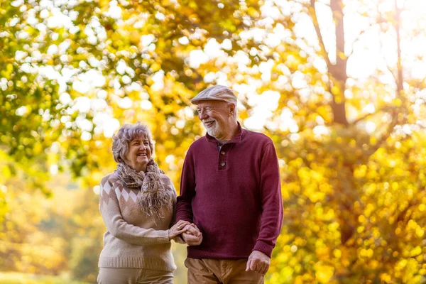 Boldog Idősek Együtt Töltik Időt Gyönyörű Városi Parkban Ősszel — Stock Fotó