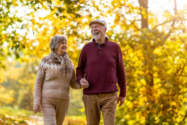 Heureux Couple Personnes Âgées Passer Temps Ensemble Dans Magnifique Parc — Photo