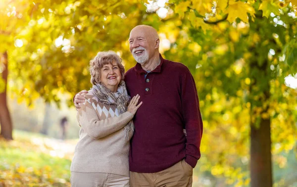 Glad Senior Par Tillbringa Tid Tillsammans Vacker Stadspark Hösten — Stockfoto