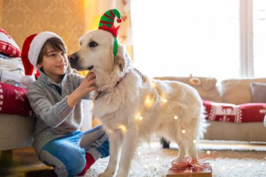 Çocuk ve köpeği evde Noel 'in tadını çıkarıyorlar. 