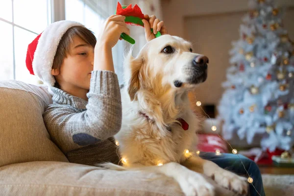 男の子と彼の犬は自宅で一緒にクリスマスを楽しんで — ストック写真