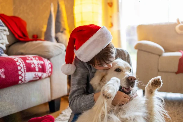 Fiú Kutyája Együtt Karácsonyoznak Otthon — Stock Fotó
