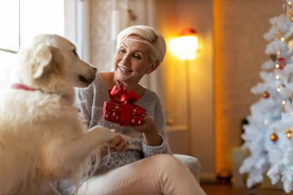 Vrouw Haar Hond Genieten Samen Van Kerstmis Thuis — Stockfoto