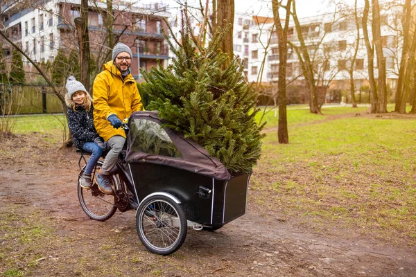 爸爸和女儿骑着运货自行车送圣诞树 — 图库照片