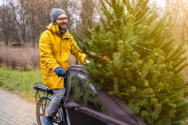 Man Transporting Christmas Tree Bicycle Stock Image