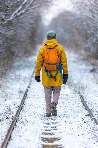 Belakang Pandangan Manusia Menikmati Berjalan Jalan Melalui Hutan Selama Musim Stok Foto Bebas Royalti