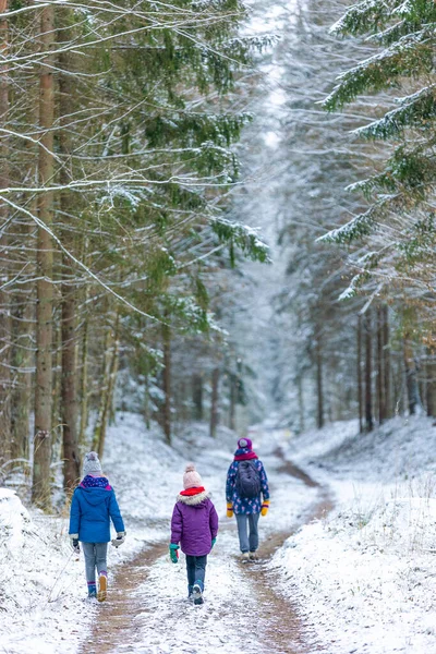 Madre Hijos Disfrutando Paseo Por Bosque Juntos Invierno Bosque Bialowieza —  Fotos de Stock