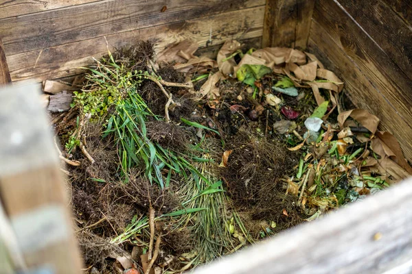 充满有机废物的花园堆肥箱 免版税图库图片