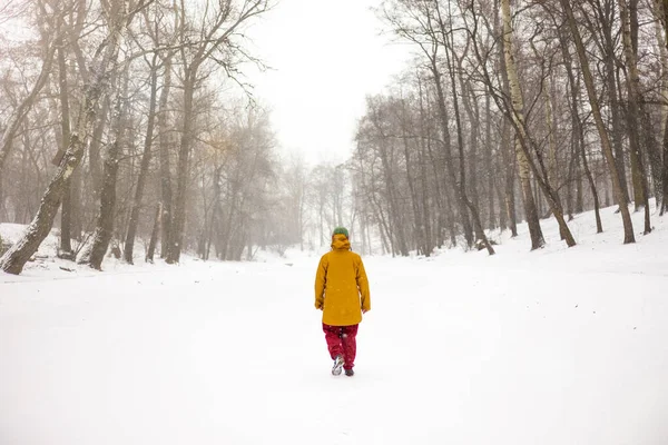 雪嵐の中 冬の不思議の国の森を歩く男 — ストック写真