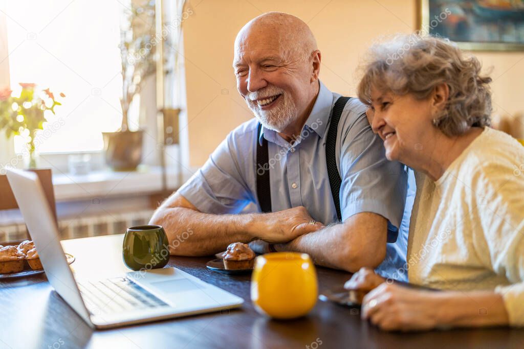 Senior couple using a laptop at home