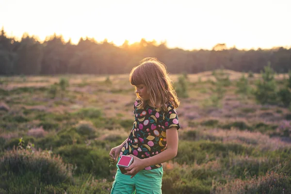 Menina Prado Cheio Urze Pôr Sol — Fotografia de Stock