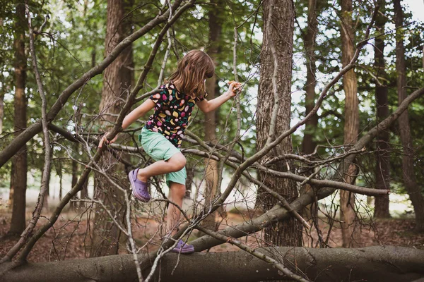 Mädchen Klettert Wald Auf Baum — Stockfoto
