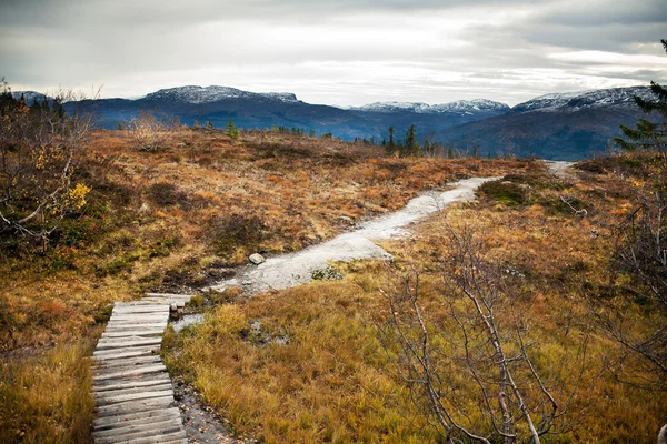 Manzara dağlarda, Norveç Telifsiz Stok Imajlar