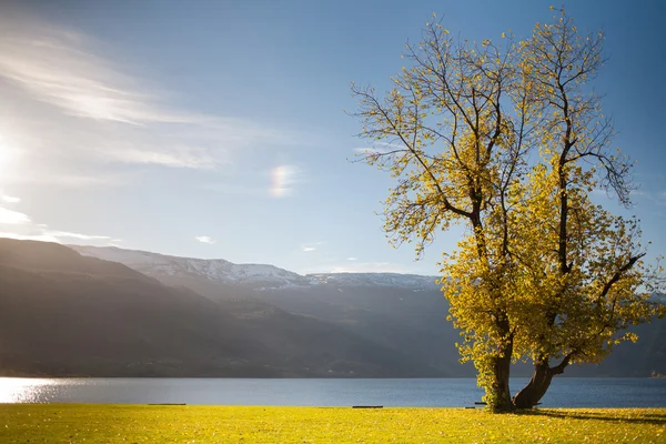 Landschaften in den Bergen, Norwegen lizenzfreie Stockfotos