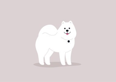 Samoed bir köpeğin tam uzunluktaki bir çizimi