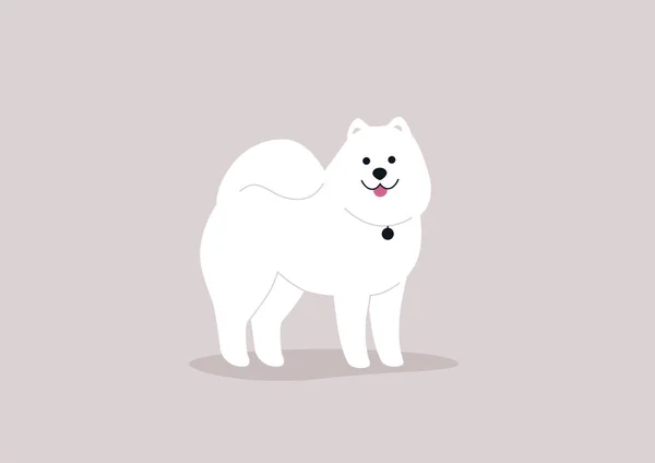 Ilustrație Vectorială Completă Unui Câine Samoyed — Vector de stoc