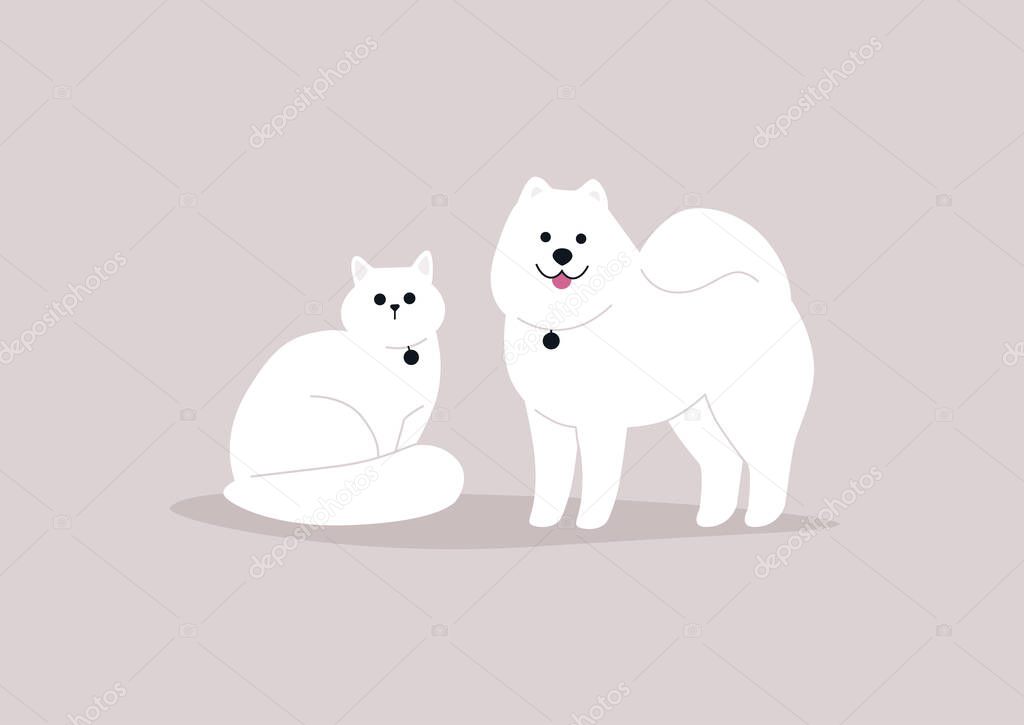 Domestic animals, fluffy white cat and dog wearing medallions, best friends