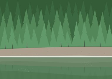 Spruce Ormanı 'nın panoramik manzarası ve bir dağ kıyısı, turizm, vahşi doğa, insan yok, milli park