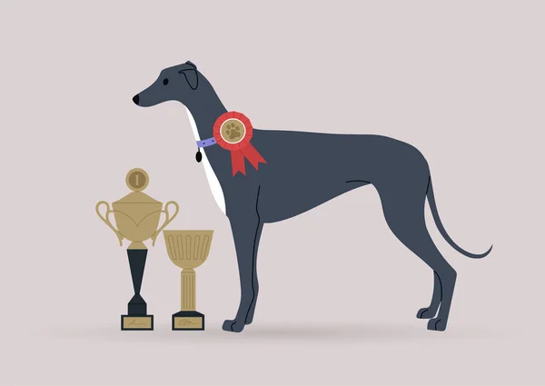 Ein Gewinner Eines Hundewettbewerbs Posiert Mit Goldenen Pokalen Und Medaillen — Stockvektor