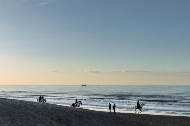 Oostduinkerke, Belçika - 5 Kasım 2020: Alacakaranlıkta plajda at sürmek