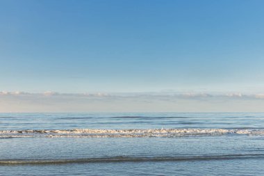 Oostduinkerke, Belçika: Parlak mavi tonlu susam kaydı