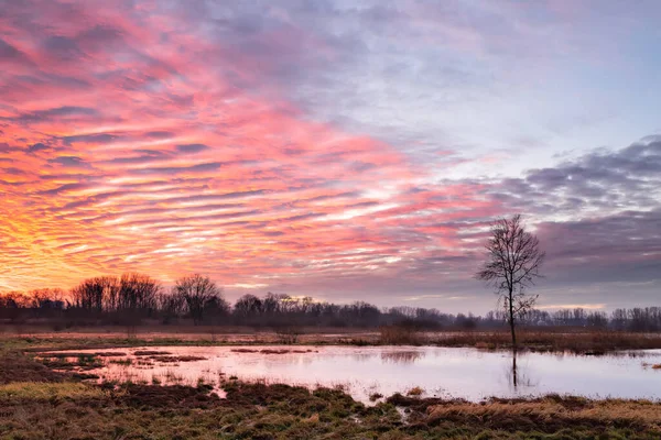 Gent, Belgium - January 13, 2021: Dawn in the Bourgoyen-Ossemeersen nature reserve. — Stock Photo, Image