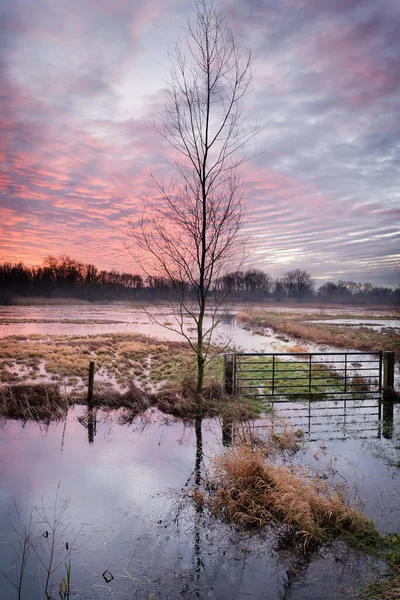 Gent, Belgium - January 13, 2021: Dawn in the Bourgoyen-Ossemeersen nature reserve. — Stock Photo, Image