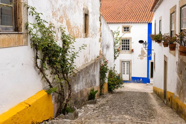 Obidos, Portekiz - 30 Haziran 2021: Obidos 'taki Picturesque Caddesi
