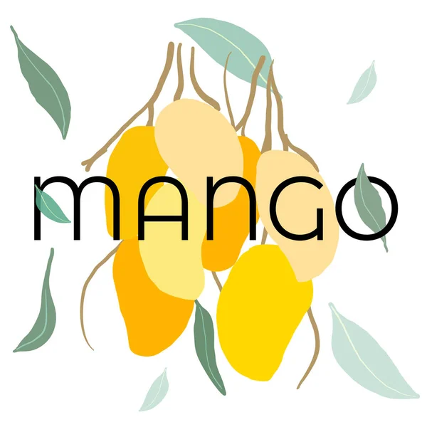 Branche de mangues fraîches avec feuilles et texte — Image vectorielle