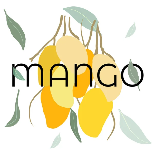 Rama de mangos frescos con hojas y texto — Archivo Imágenes Vectoriales