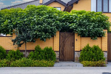 İşlenmiş demir elementlerle dolu ahşap kapı yerleşim yerinin yakınında..