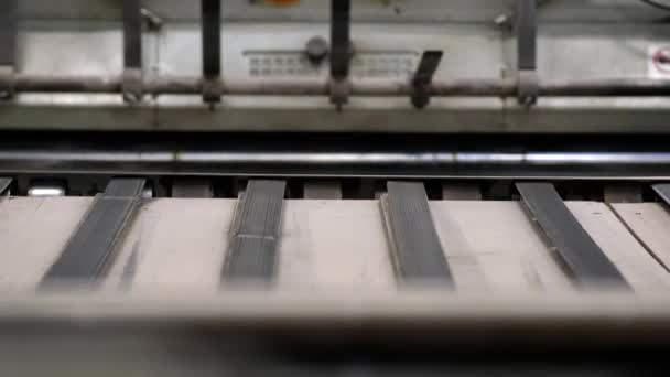 生产纸板箱的企业 用于生产波纹纸板箱的输送机生产线 用废纸制造硬纸板芯 — 图库视频影像