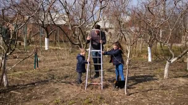 爸爸的儿子和女儿在他们家附近的花园里 用刷子修剪树枝 修剪剪子 春树修剪与园圃维修的概念 — 图库视频影像
