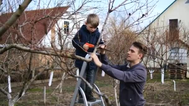 Malý Chlapec Pomáhá Svému Otci Prořezávat Stromy Zahradě Pilou Jarní — Stock video