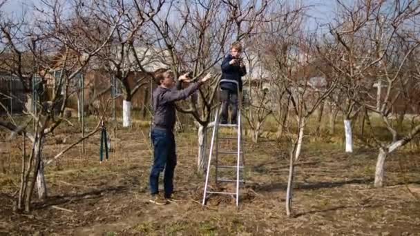 父は息子に ブラシカッターと剪定シアーで庭の木の枝を切るように教えています 春の木の剪定と庭のメンテナンスの概念 — ストック動画