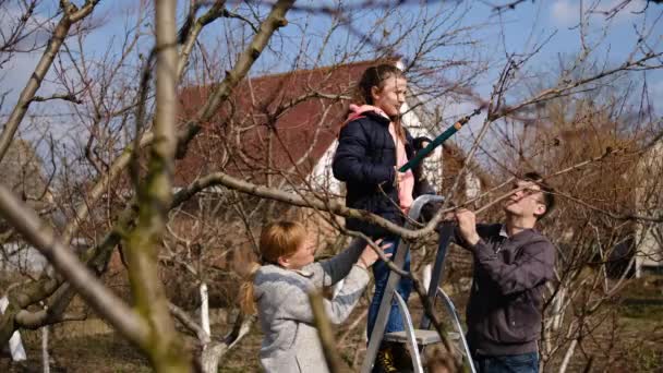 Baba Anne Kız Bahçede Makasla Erik Ağaçları Kız Ailesinin Merdiven — Stok video