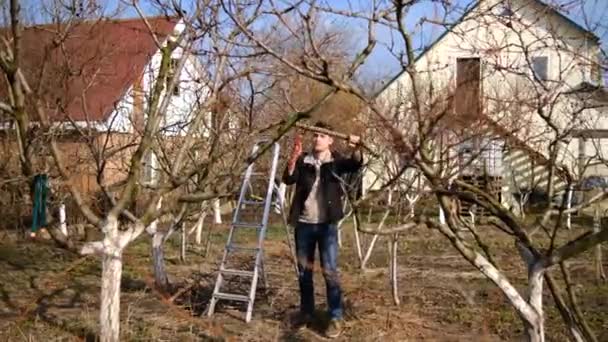 Young Man Pruning Trees Garden House Spring Day Concept Spring — Stockvideo