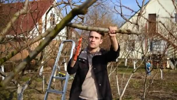 Joven Está Podando Árboles Jardín Cerca Casa Día Primavera Concepto — Vídeos de Stock