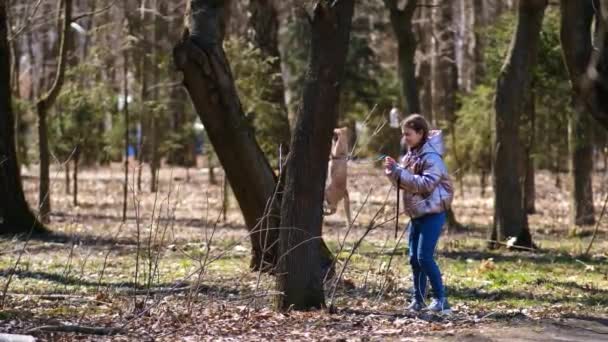 女の子は春の日に公園の綱の上に生姜の縞の猫と一緒に歩いています ペットへの愛の概念 — ストック動画