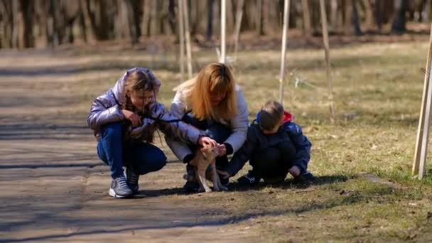 母と子供たちは春の日に公園で生姜のタビー猫と一緒に歩きます ペットへの愛の概念 — ストック動画