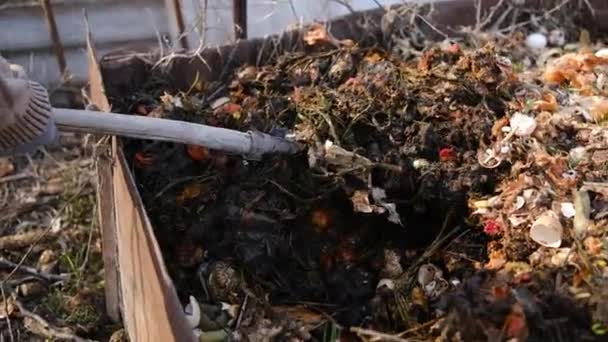 Compostagem Decomposição Para Fertilizante Com Minhocas Jardim Vermes São Usados — Vídeo de Stock