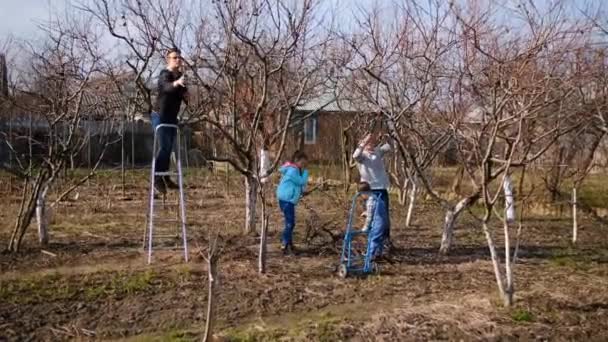 Papá Mamá Hija Hijo Jardín Cerca Casa Podando Ramas Árbol — Vídeos de Stock