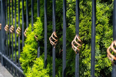 Metal moda çitleri. Dekoratif işlemeli demir çit.