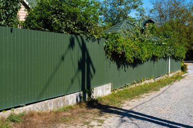 Yeşil metal kıvrımlı çitlerin tepesinde büyüyen yeşillikler var..