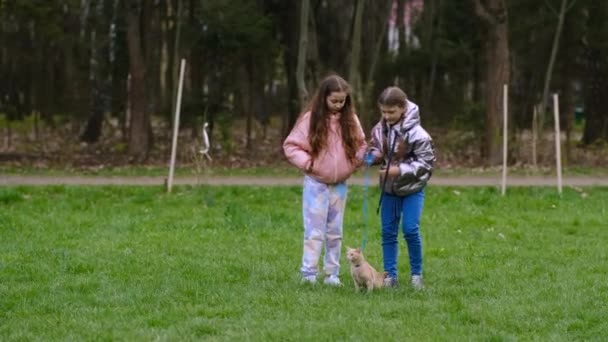 Dos Niñas Están Caminando Parque Con Gato Jengibre Con Una — Vídeos de Stock